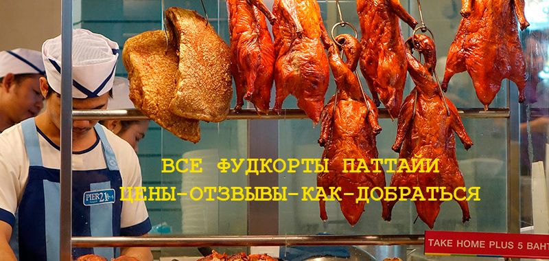 duck-549999_1920